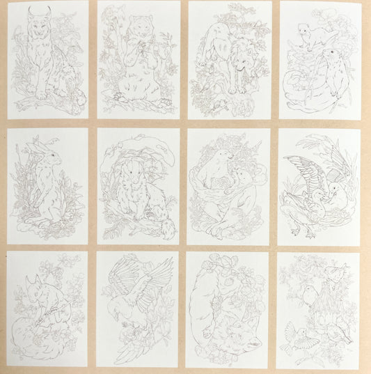 COLORING SET - WILDERNESS