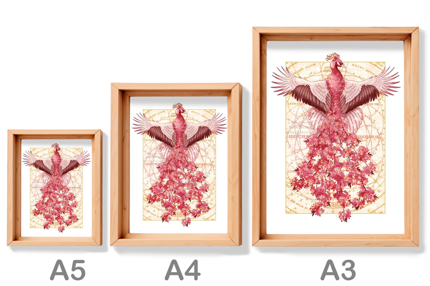 PRINT - SAKURA PEACOCK