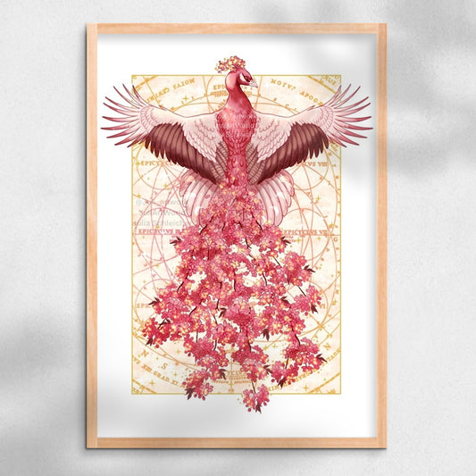 PRINT - SAKURA PEACOCK