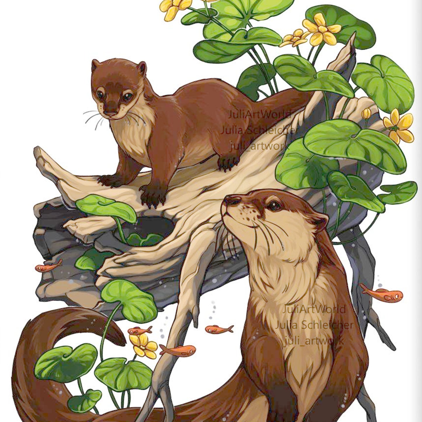 PRINT - OTTER