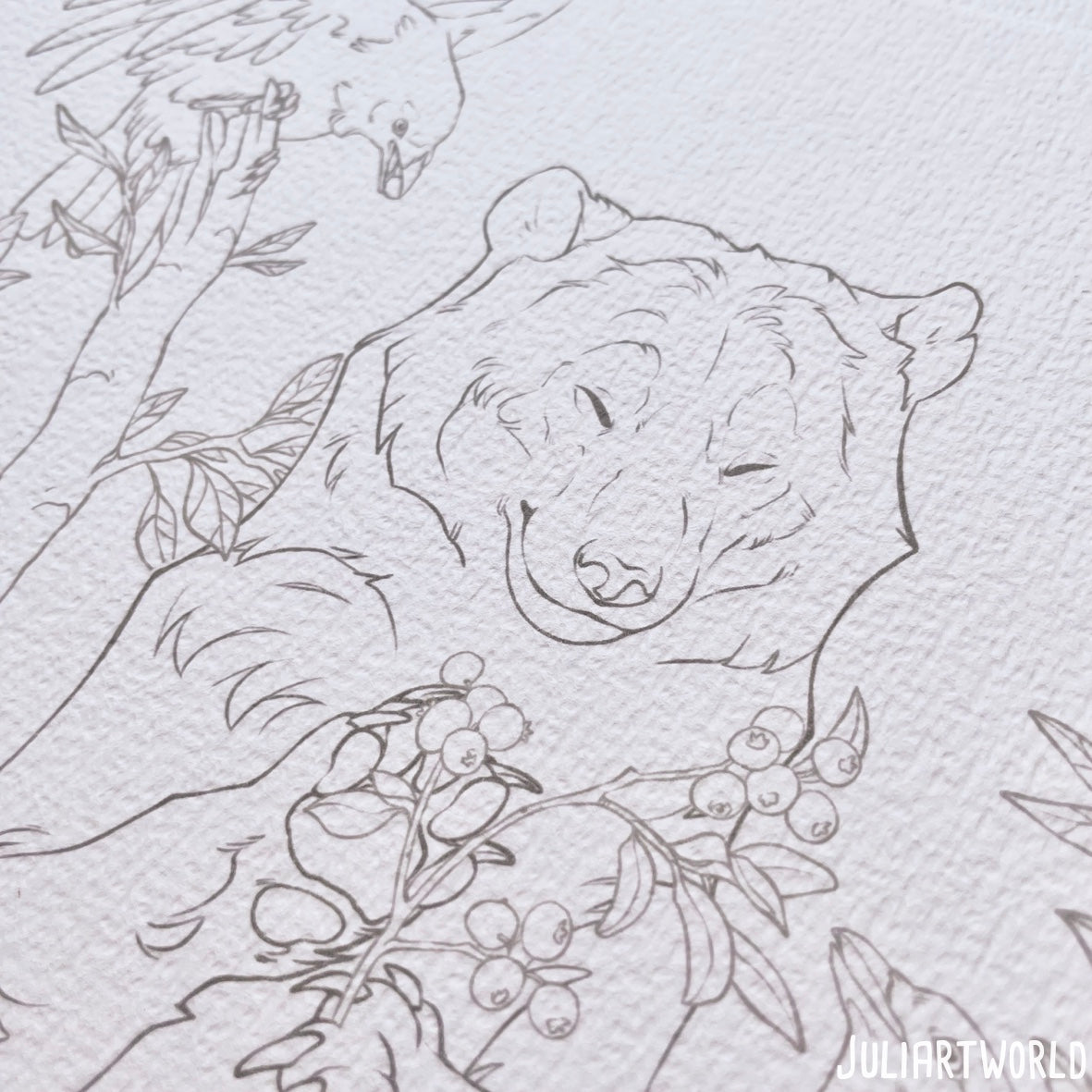 COLORING SET - WILDERNESS