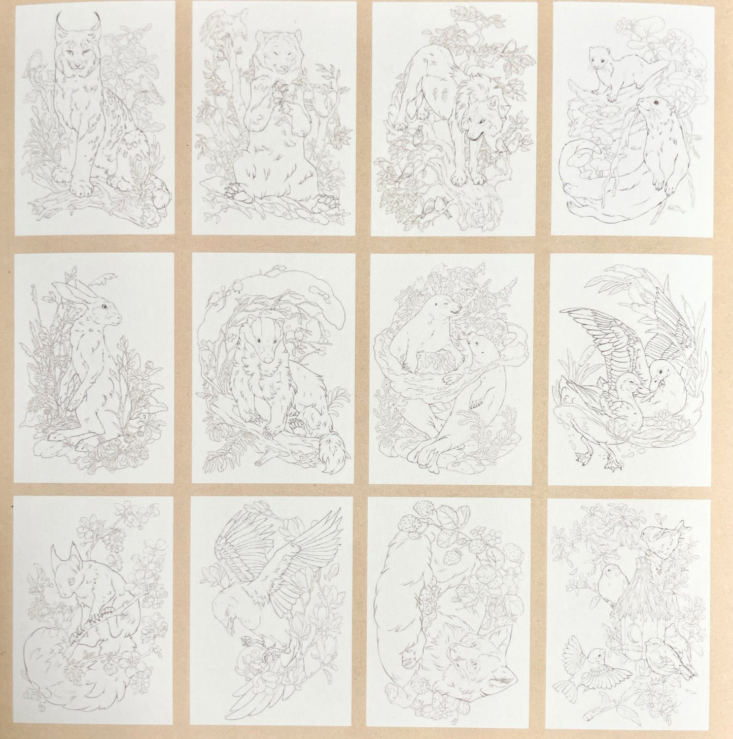 COLORING SET - WILDERNESS