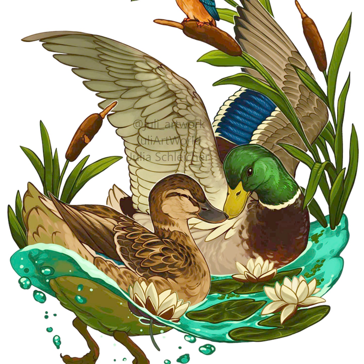 PRINT - DUCK
