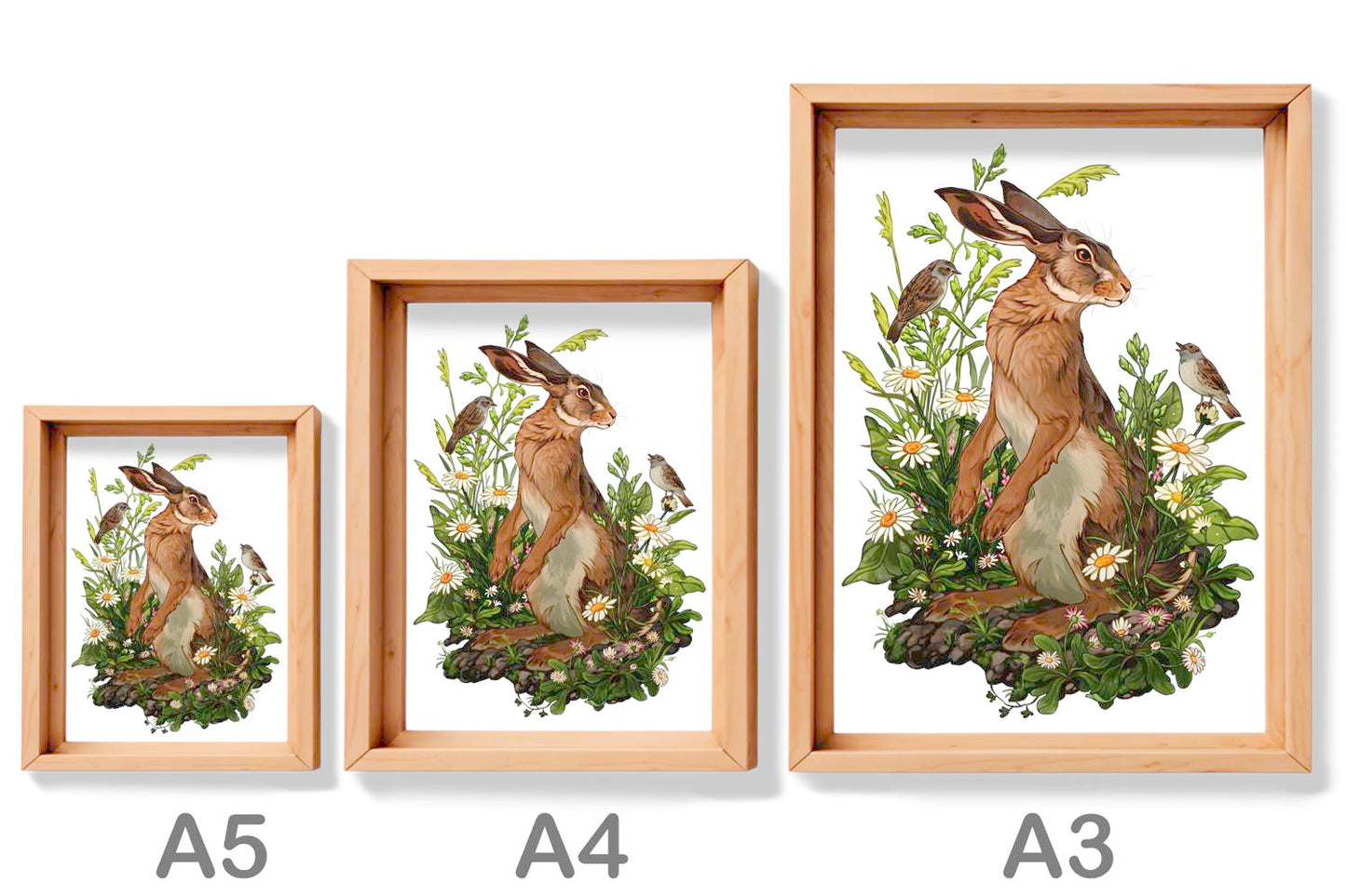 PRINT - HARE
