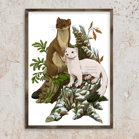 PRINT - ERMINE