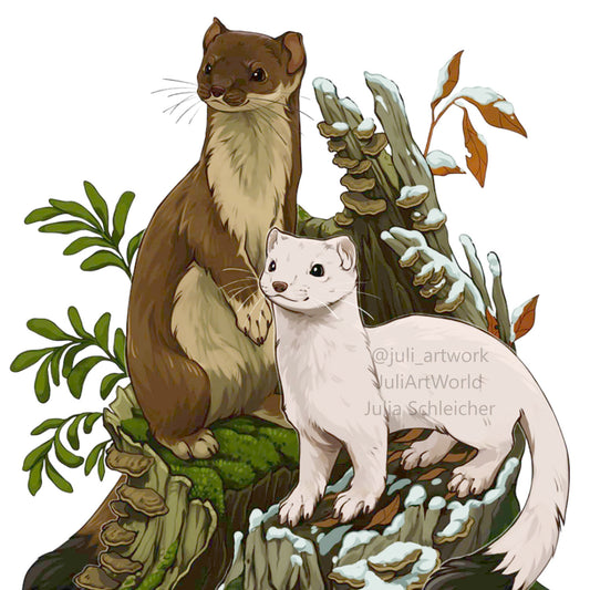 PRINT - ERMINE