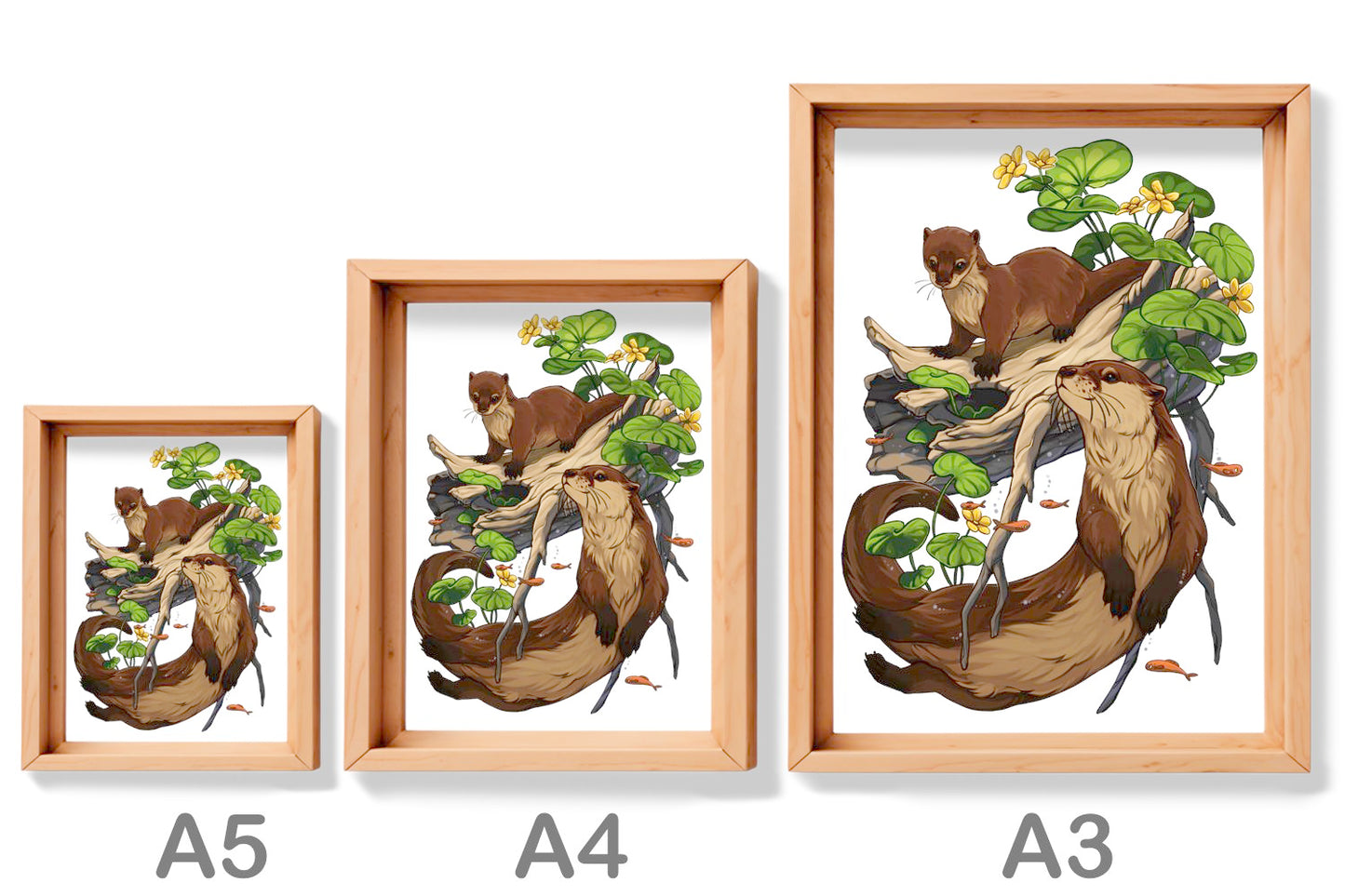 PRINT - OTTER