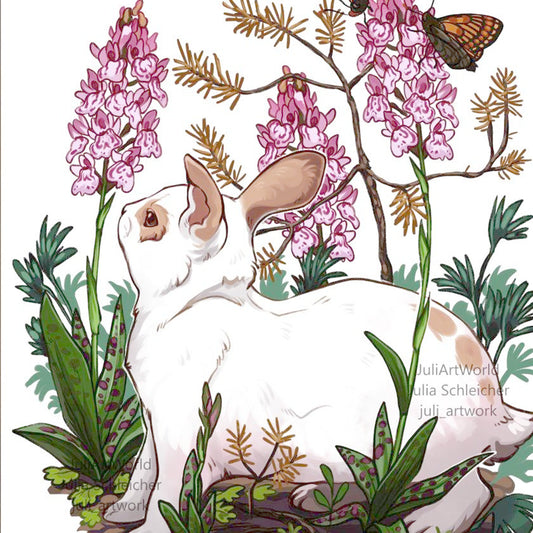 PRINT - BUNNY