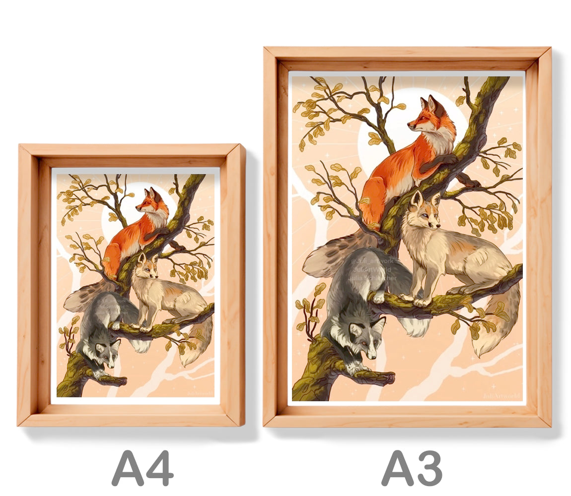 PRINT - THREE FOXES