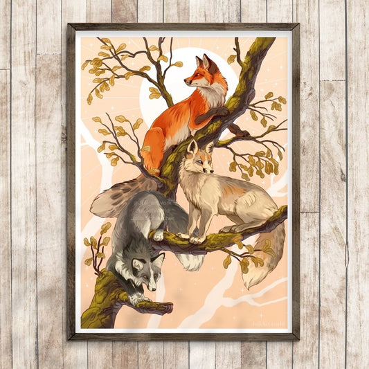 PRINT - THREE FOXES